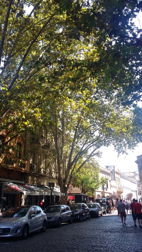 Bairro de San Telmo, Buenos Aires, Argentina.