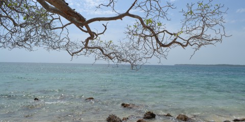 Isla Barú – Caribe