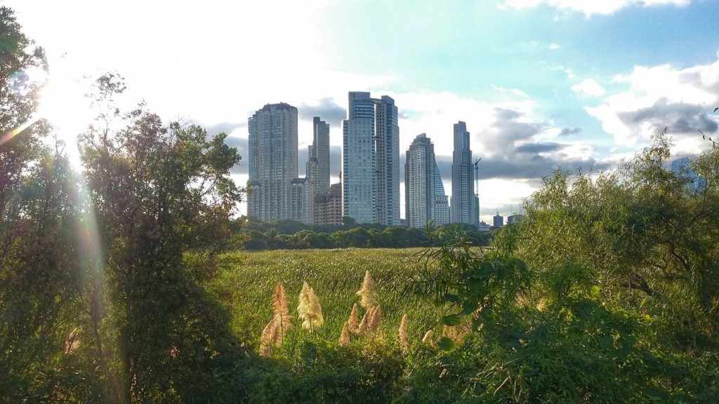 Reserva Ecológica Costanera Sur, Puerto Palermo, Buenos Aires, Argentina.