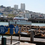 PIER 39 - o ponto mais visitado (e lotado!) da cidade. Até os leões marinhos ajudam a encher o local!