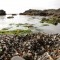 Glass Beach