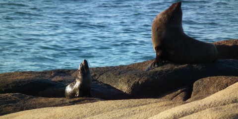 Parque Nacional de Cabo Polonio