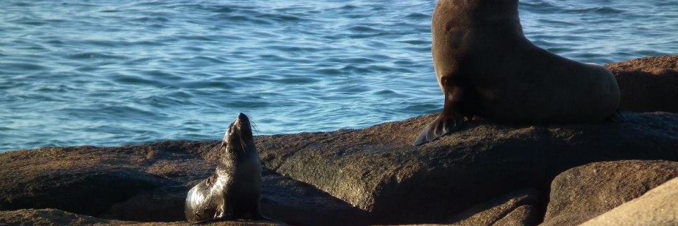 Parque Nacional de Cabo Polonio